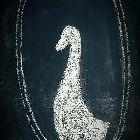 Ocagiuliva ريباربيلا