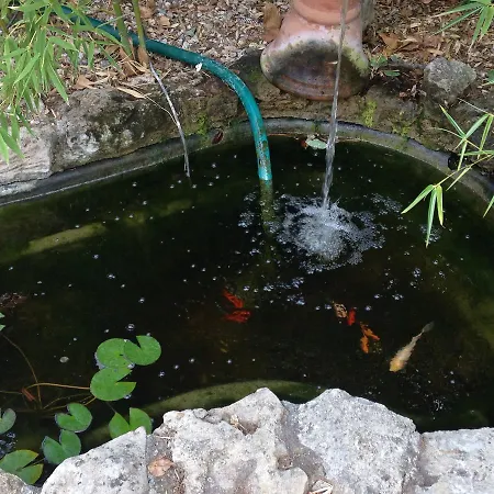 Ocagiuliva ריפרבלה